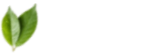 Cannabis Kozmetik